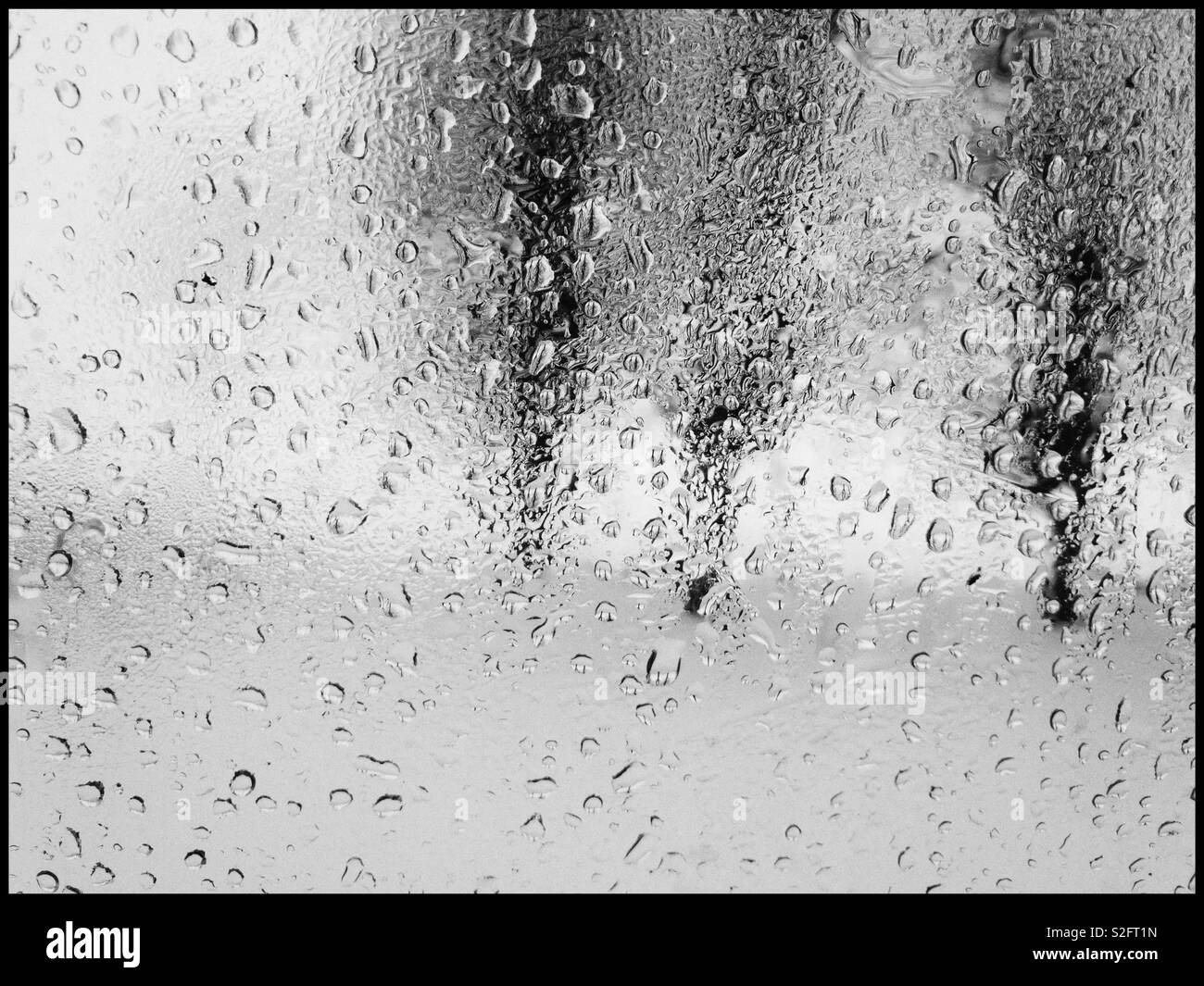 View through water drops on  a weeping car window on trees in winter season Stock Photo