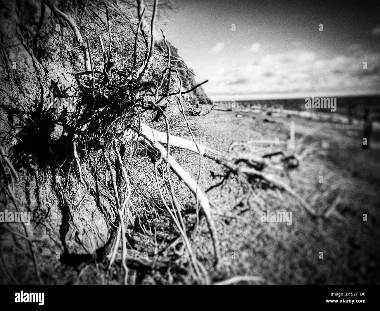 Coastal erosion uk Black and White Stock Photos & Images - Alamy