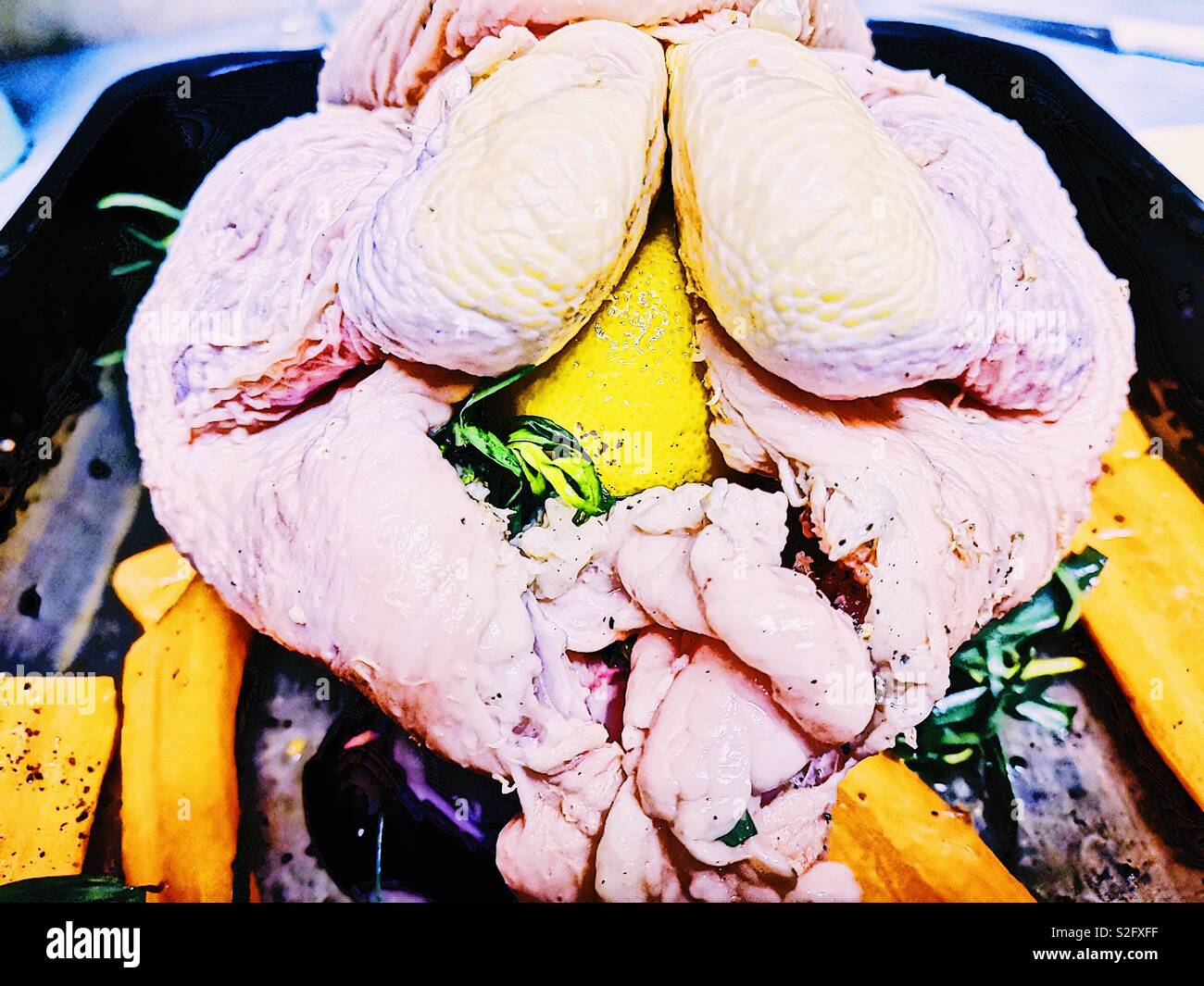 Chicken stuffed with lemon ready to roast with carrots and herbs - Smartphone Captured Stock Image Chicken stuffed with lemon ready to roast with carrots and herbs - Smartphone Captured Stock Image