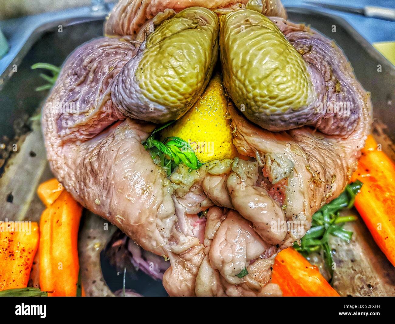 Chicken stuffed with lemon and herbs in roasting tin with carrots and red onions - Smartphone Captured Stock Image Chicken stuffed with lemon and herbs in roasting tin with carrots and red onions - Smartphone Captured Stock Image