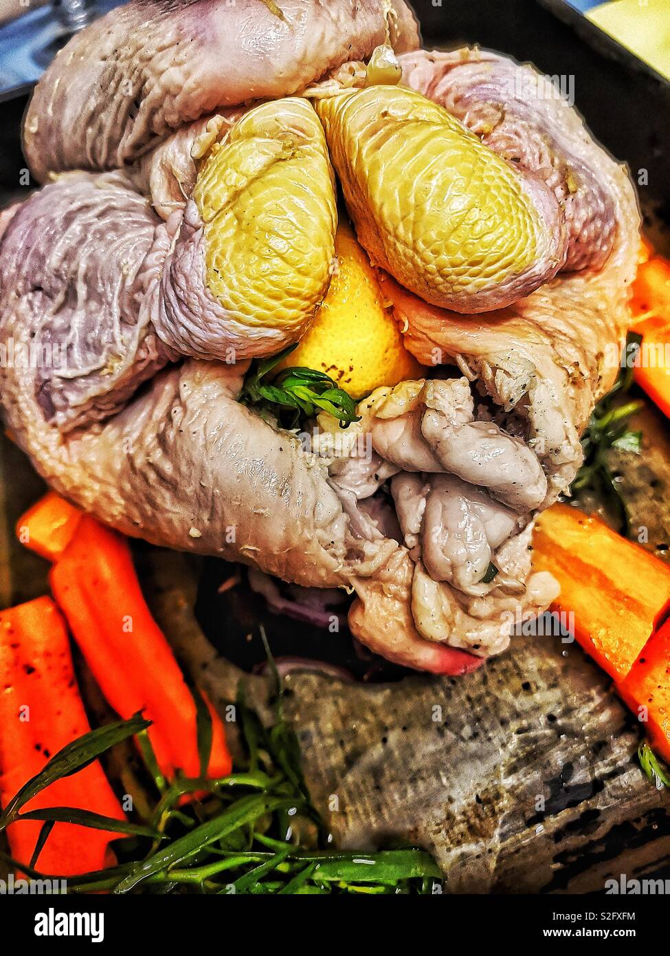 Chicken with lemon, herbs and carrots ready to go in the oven - Smartphone Captured Stock Image Chicken with lemon, herbs and carrots ready to go in the oven - Smartphone Captured Stock Image