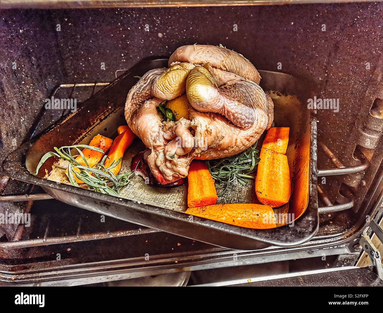 Chicken in oven with carrots and herbs ready to roast Stock Photo Alamy