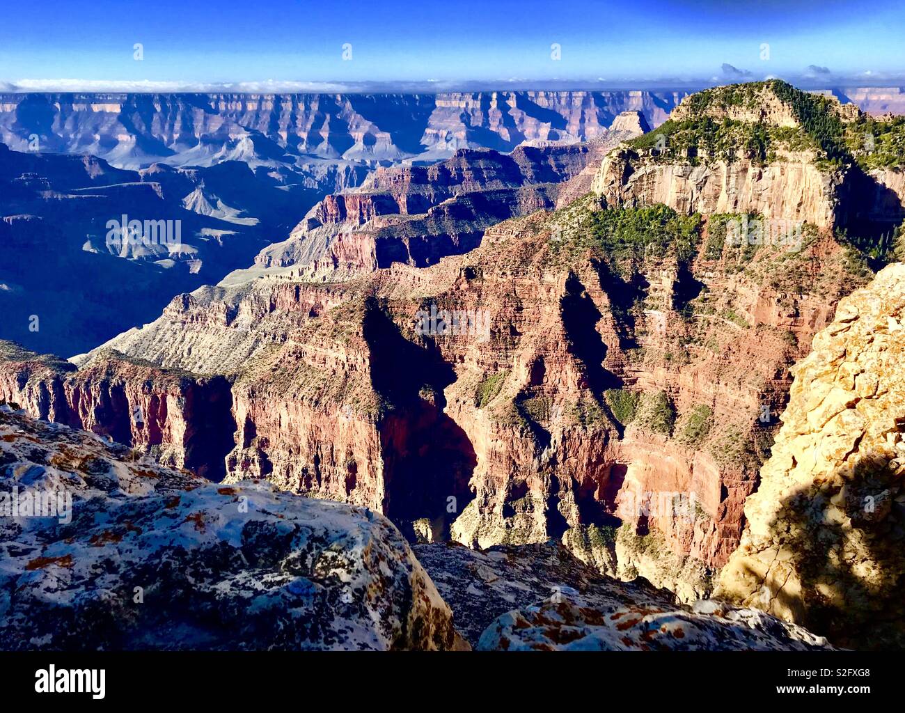 North rim Grand Canyon - Smartphone Captured Stock Image