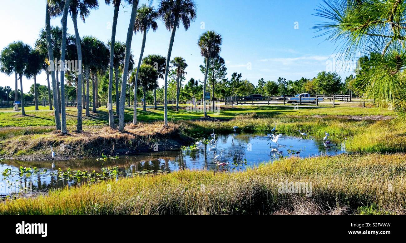 Island Paradise - Smartphone Captured Stock Image