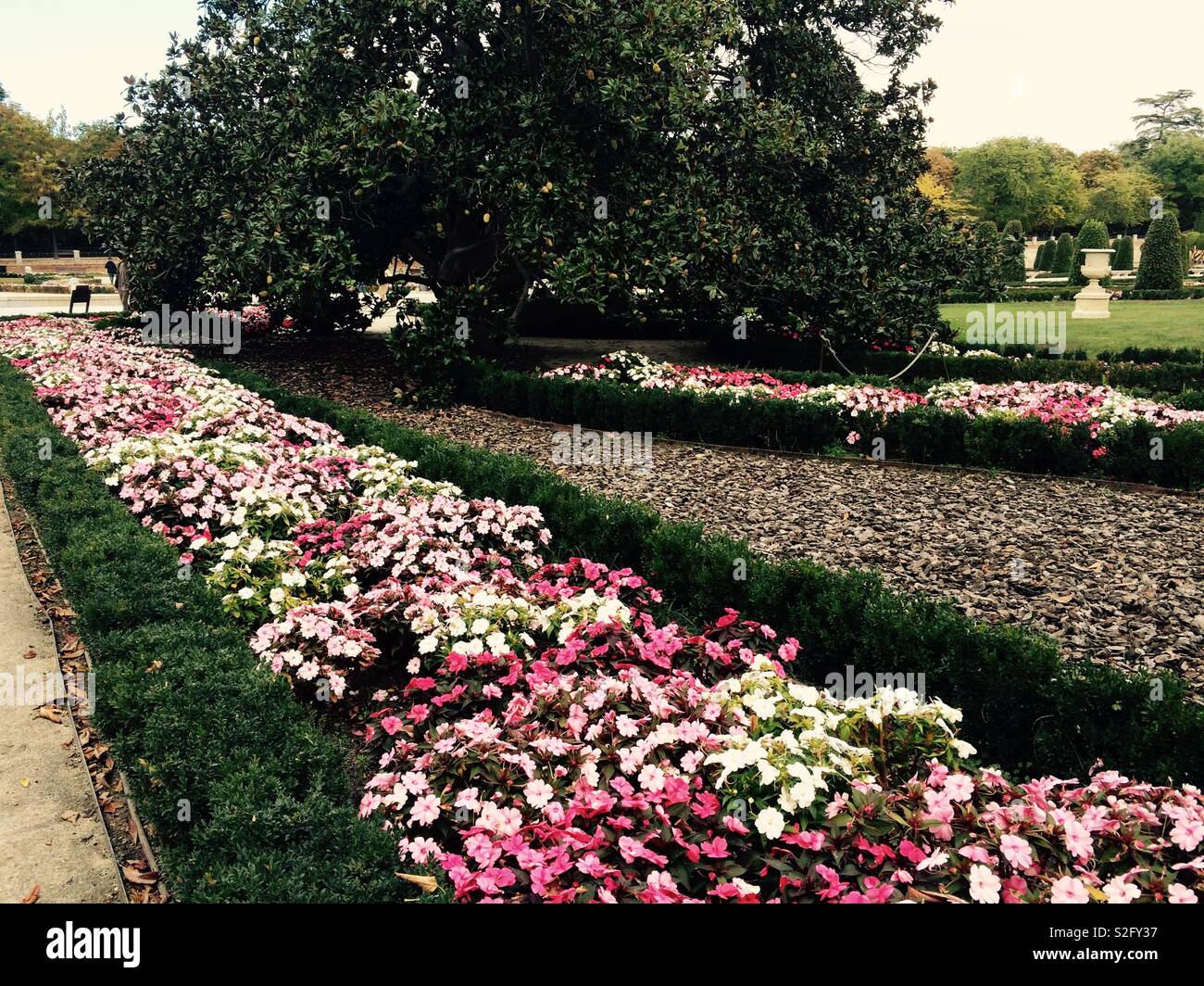 Border of vibrant pink and white flowers in landscaped garden along pathway in Madrid Spain Stock Photo