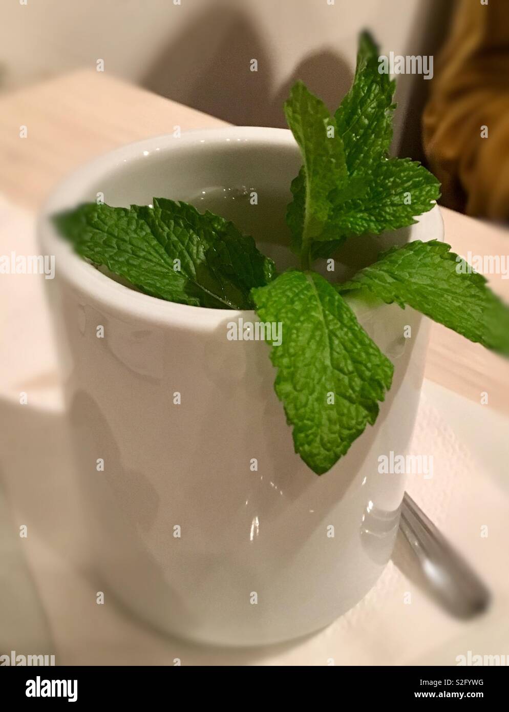 Green tea with mint leaves in a white cup Stock Photo Alamy