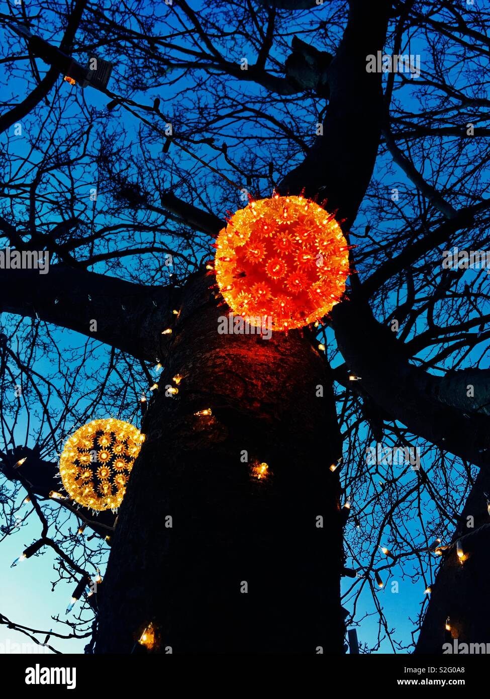 Lights on tree Stock Photo Alamy