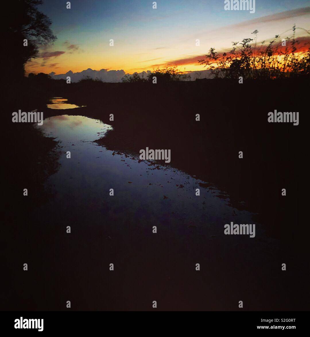 Reflections in puddles hi-res stock photography and images - Alamy