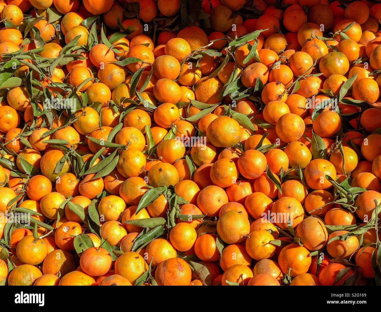 Oranges for sale at a market souk Stock Photo Alamy