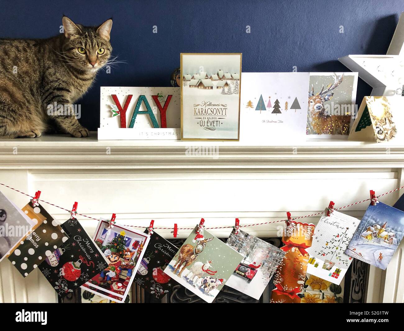 Bah humbug! Grumpy cat sitting with Christmas cards on a mantelpiece Stock Photo