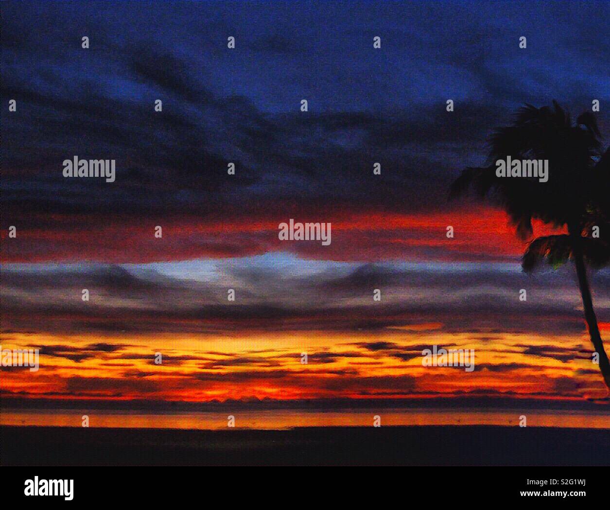Sunset on a beach with palm tree Stock Photo - Alamy