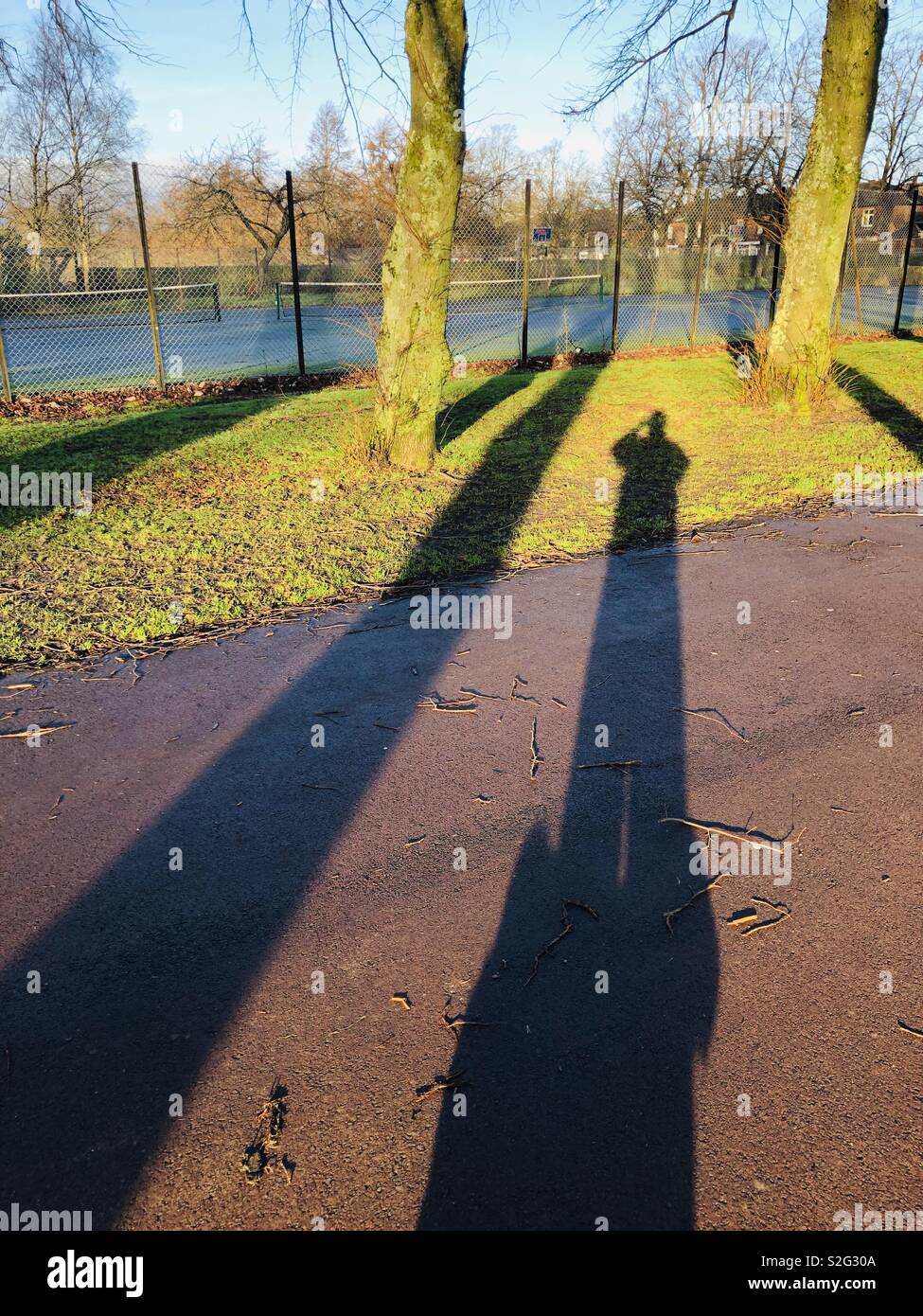 Waking the dog in the early morning, Victoria park, Whiteinch, Glasgow, Scotland, United Kingdom. - Smartphone Captured Stock Image