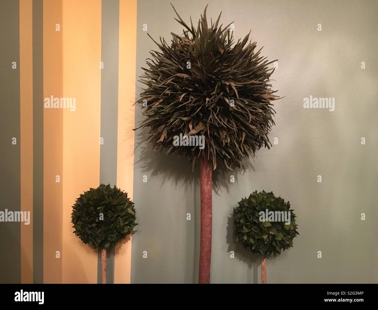 High end interior decoration of a gold striped wall and three fake green plants. - Smartphone Captured Stock Image