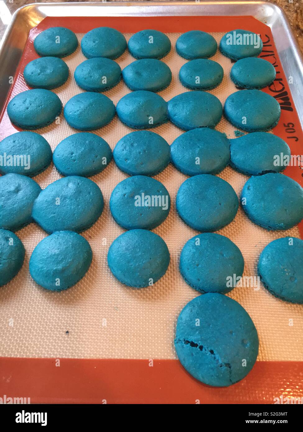 Freshly baked blue macaron sandwich sides cooling on a cookie baking sheet. - Smartphone Captured Stock Image