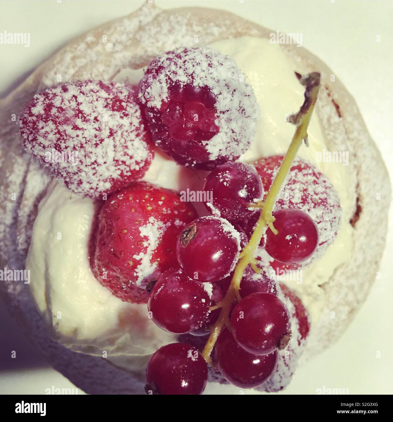 Pavlova Stock Photo