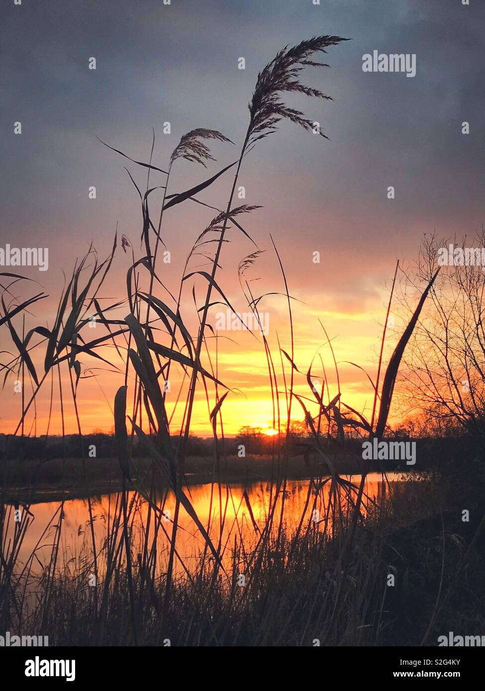 A beautiful sunset over Avalon Marshes, Somerset Stock Photo