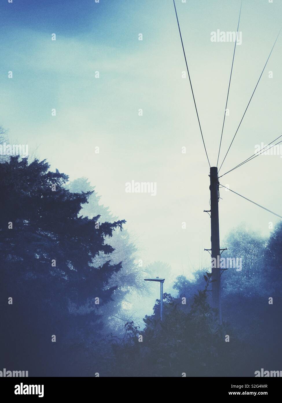 A foggy and misty morning - Smartphone Captured Stock Image