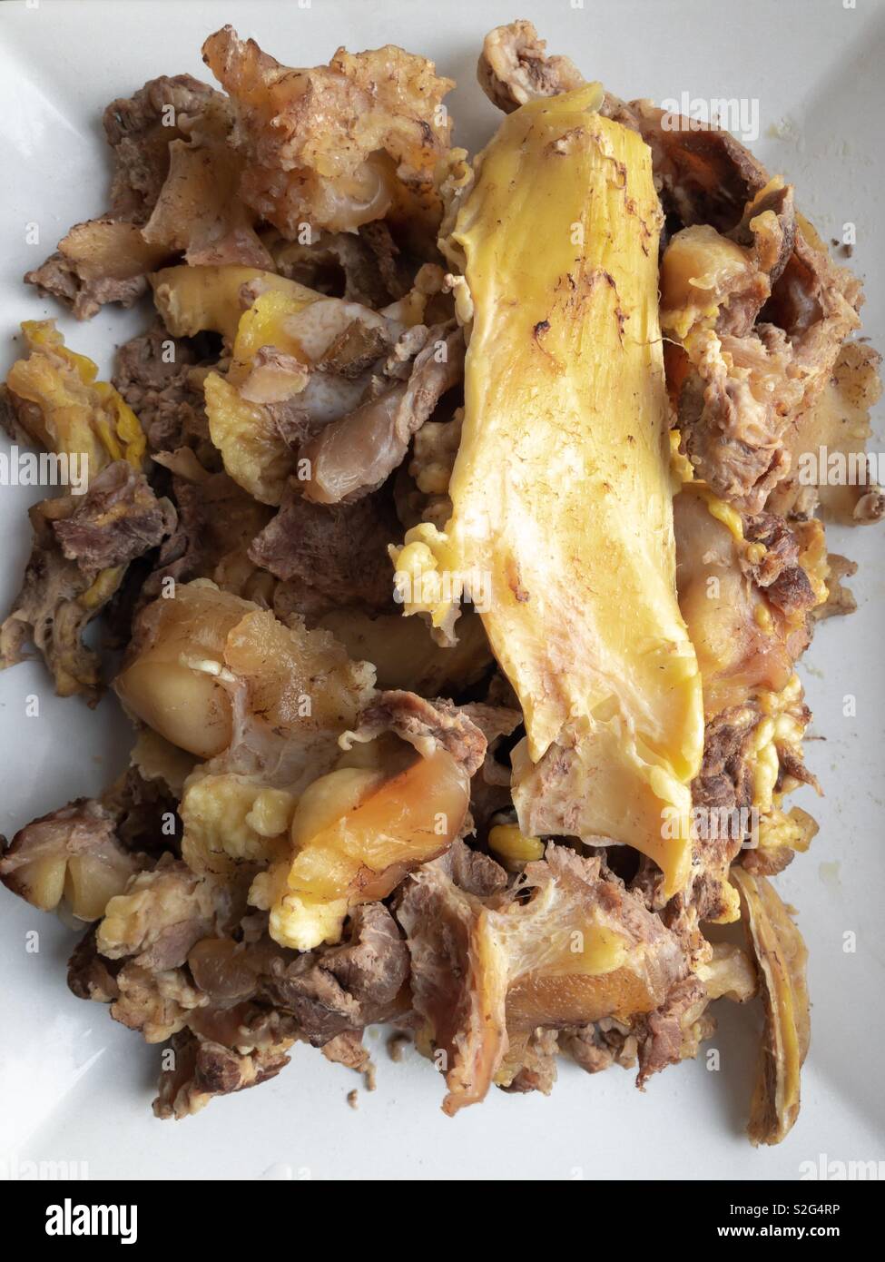 Top view on a rectangular plate full of cooked beef bones and tendons as canine food Stock Photo
