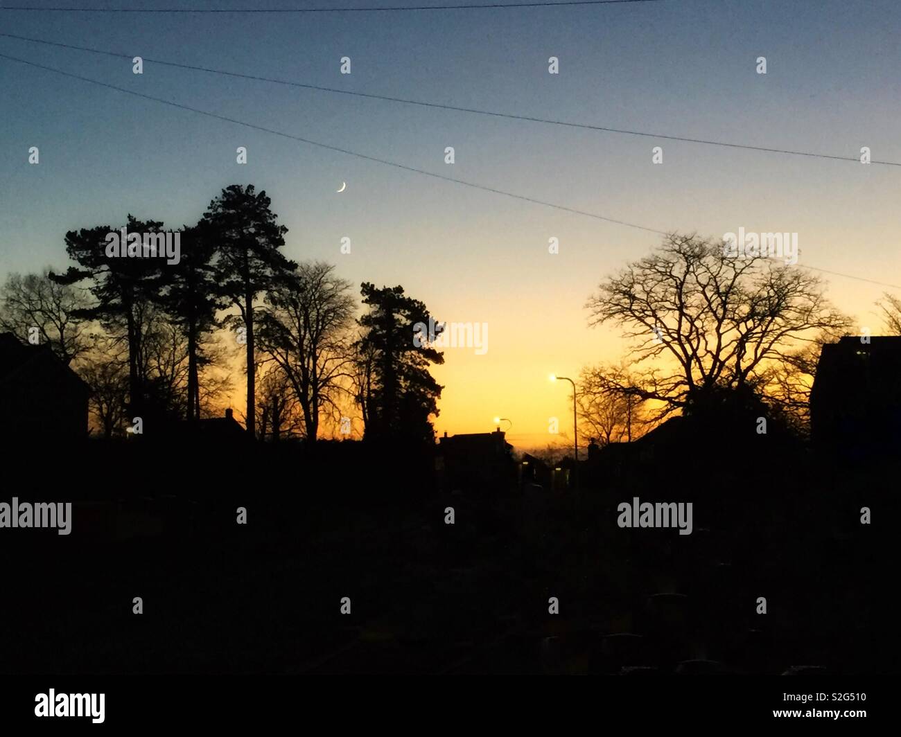 Trees in silhouette against an orange glow as the sun sets. - Smartphone Captured Stock Image