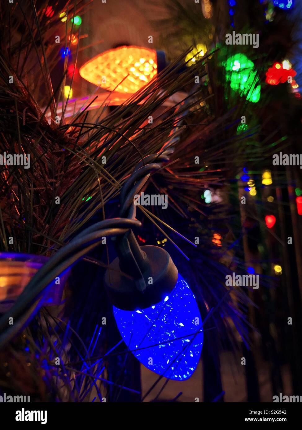Outdoor Christmas lights Stock Photo - Alamy