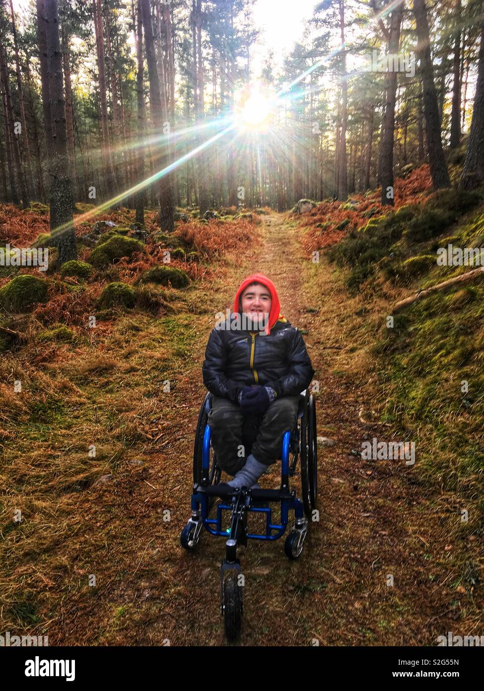 Wheelchair winter forest walk Stock Photo
