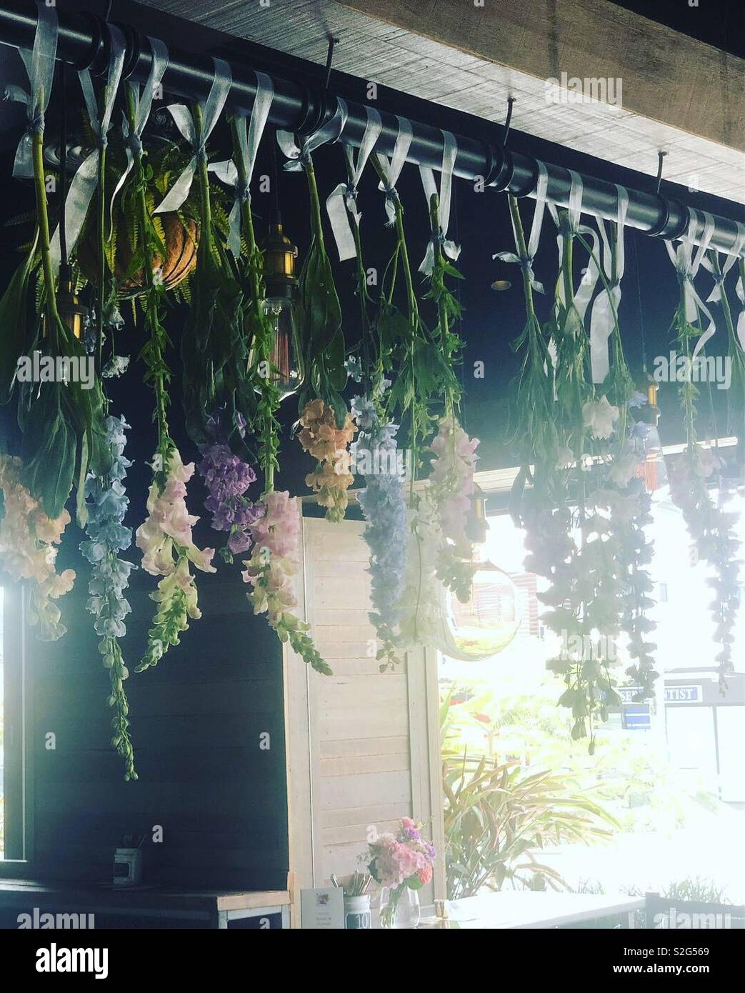Fresh decor hi-res stock photography and images - Alamy