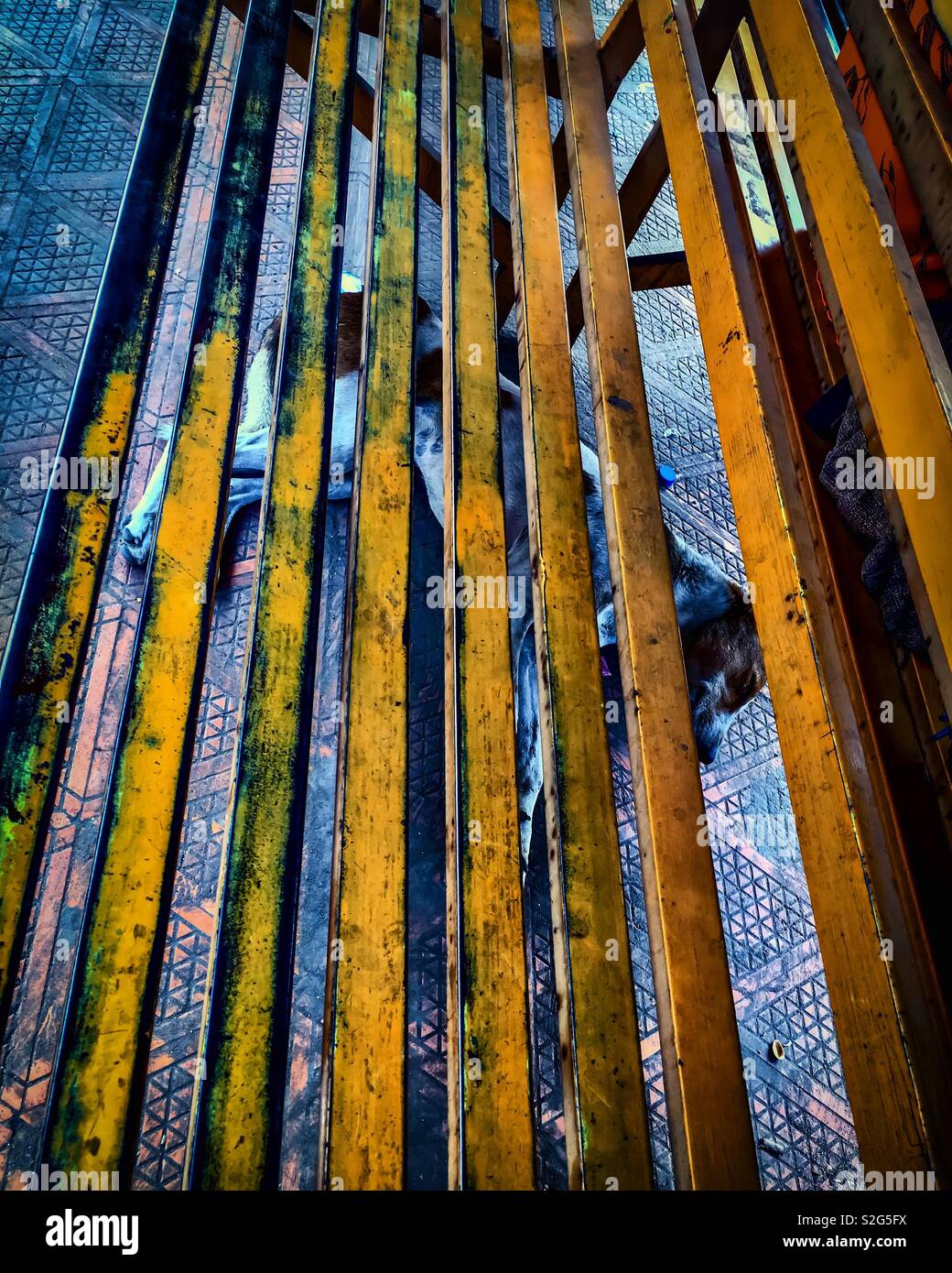 Underdog hires stock photography and images Alamy