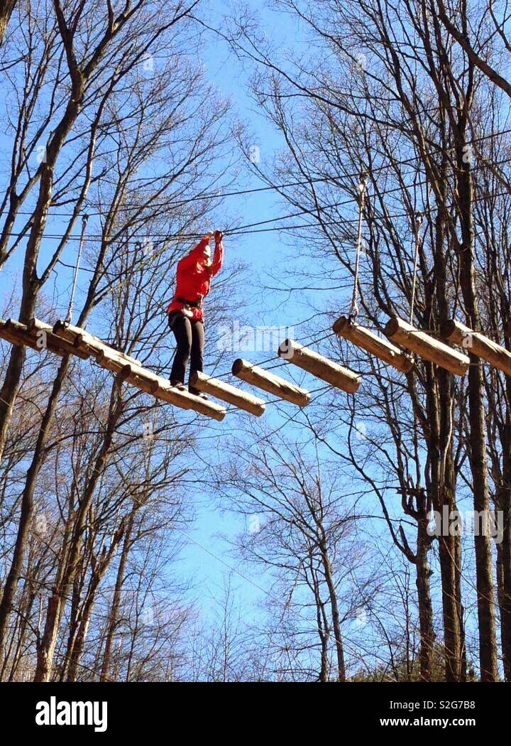 Tree top trekking Stock Photo Alamy