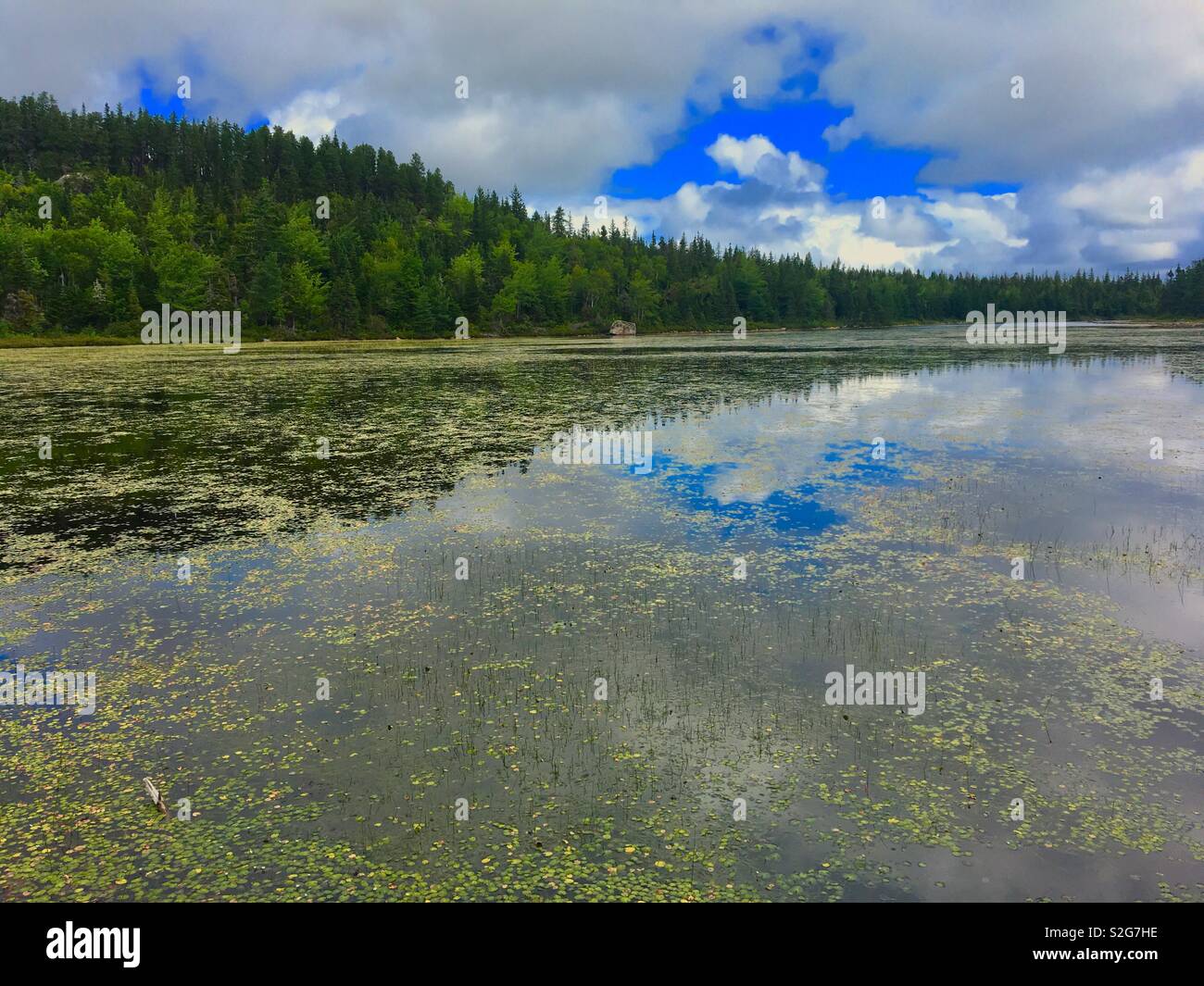 Lake in Cape Breton Island Canada Stock Photo Alamy