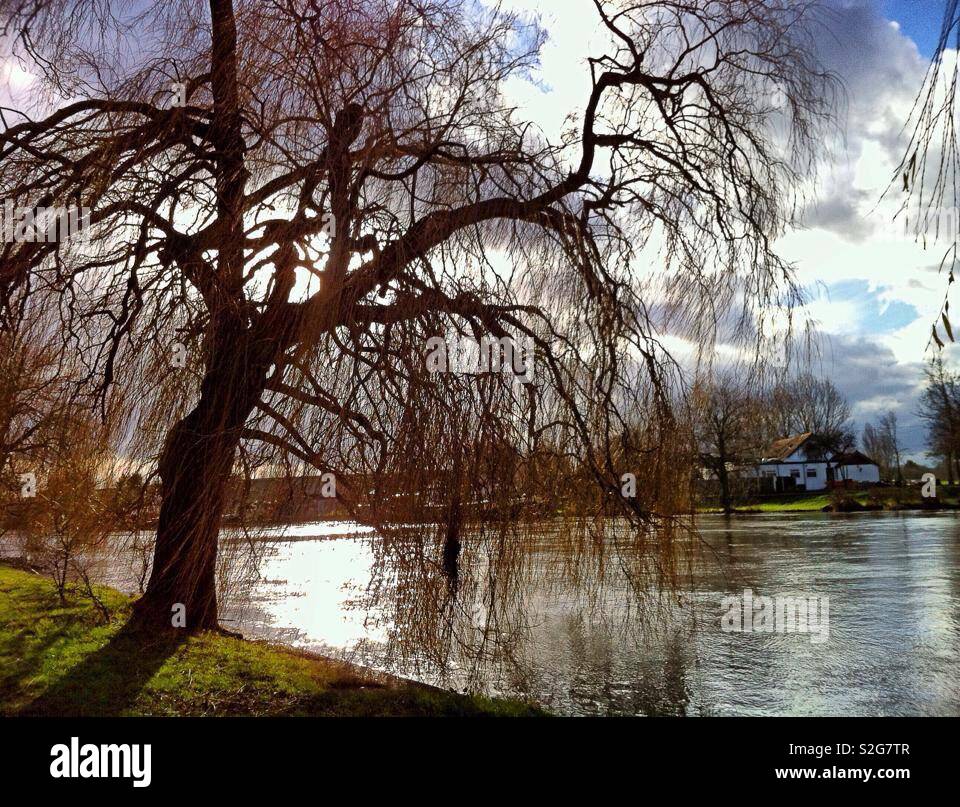 Laleham hires stock photography and images Alamy