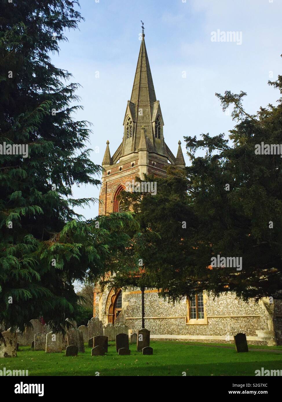 A church spire framed by trees against a blur sky. Stock Photo