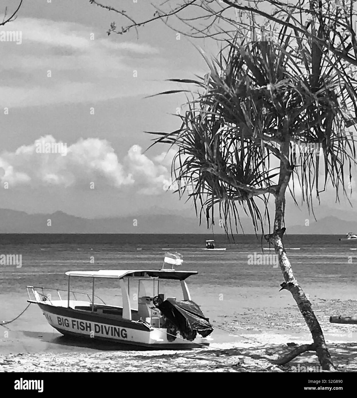 Wilmot hires stock photography and images Alamy