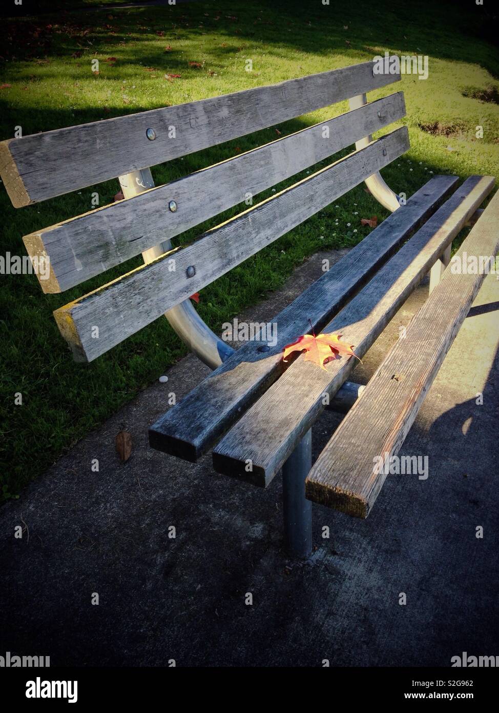 Empty park bench in Seattle- 1 solitary leaf - Smartphone Captured Stock Image
