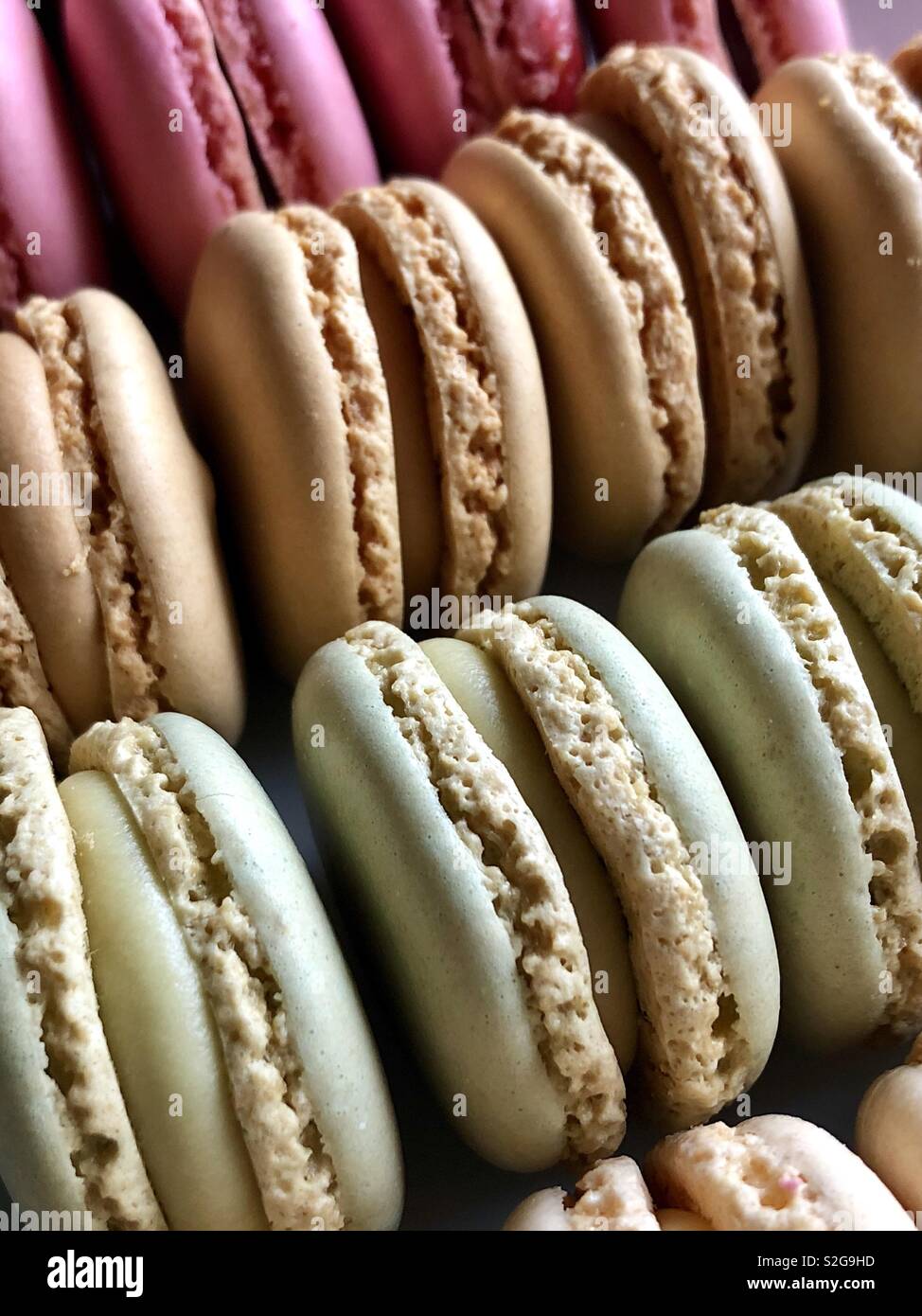 Rows of pastel macarons Stock Photo