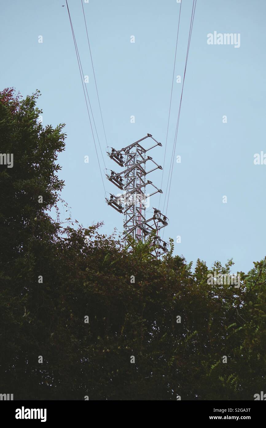 trees and electricity tower Stock Photo Alamy