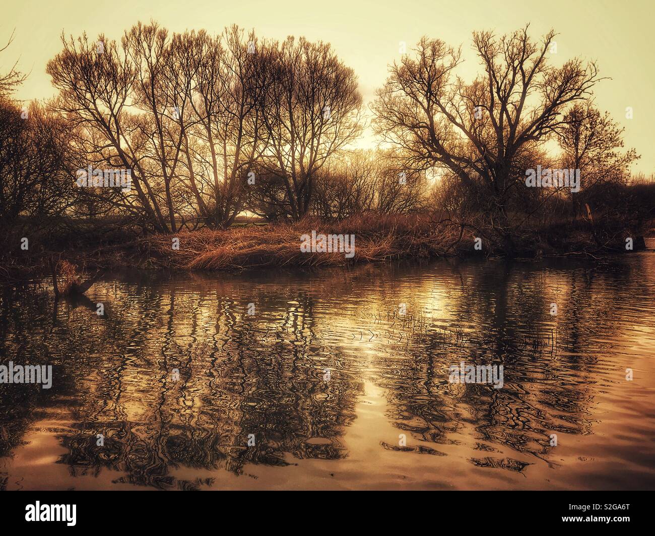 Millpond with trees and reflections - Smartphone Captured Stock Image