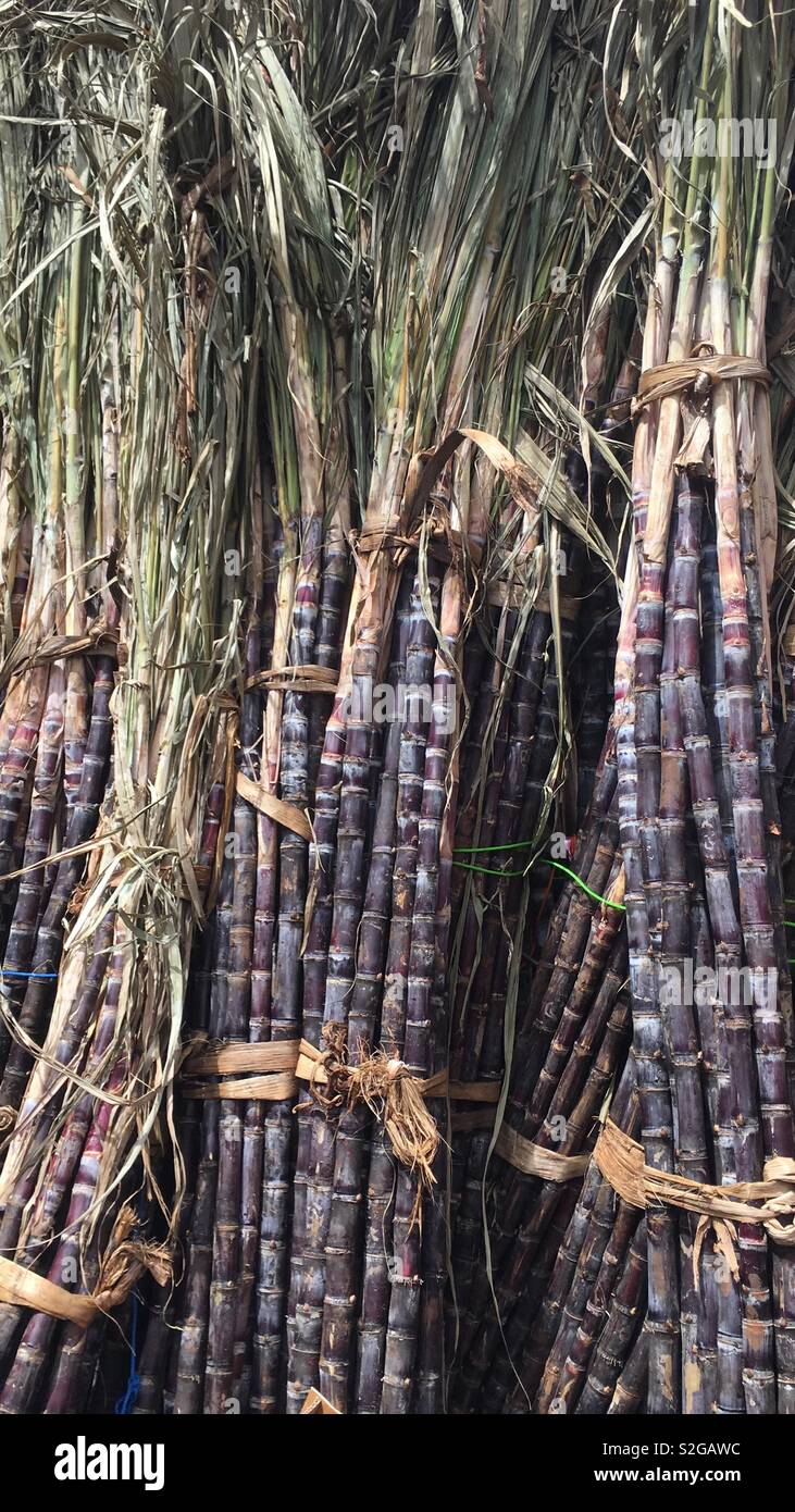 Sugar rush hires stock photography and images Alamy