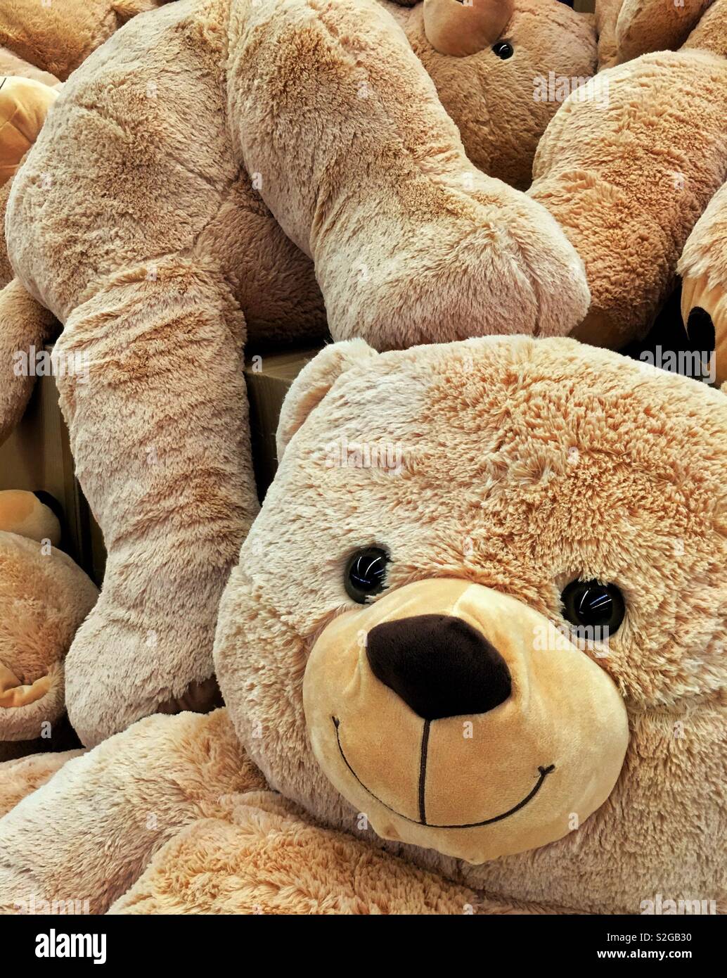 Steiff teddy bear hi-res stock photography and images - Alamy