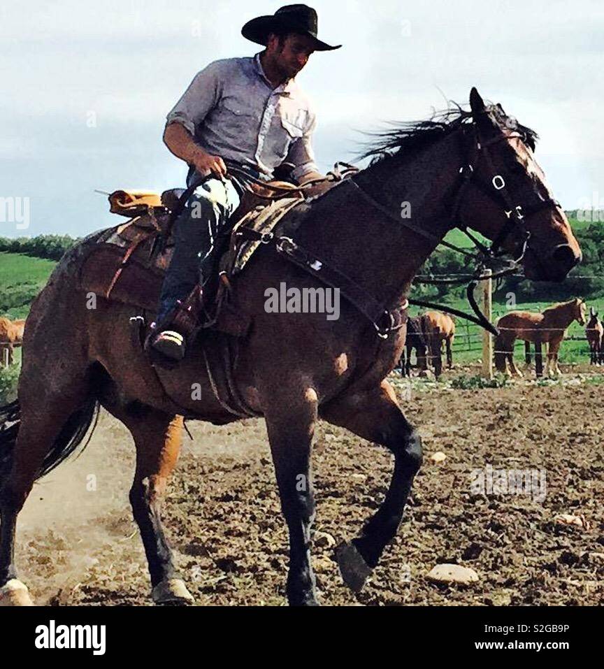 Authentic Wyoming cowboy riding horse in a round up - Smartphone Captured Stock Image