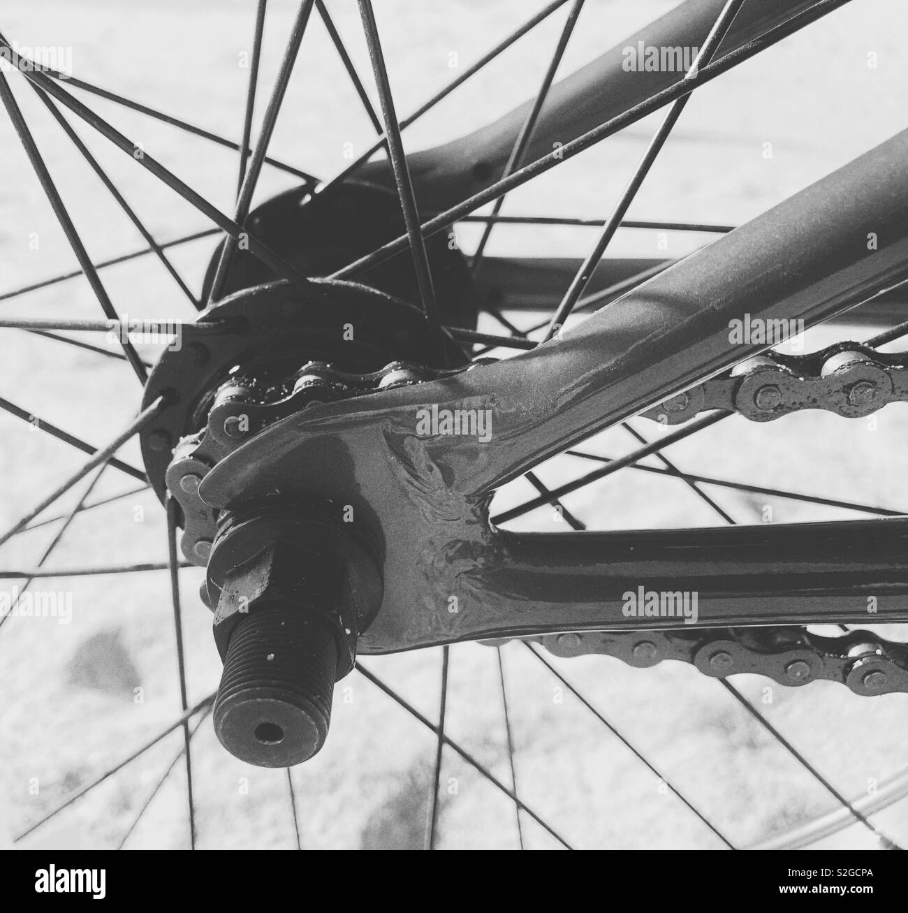 Back wheel of bmx bike Stock Photo Alamy