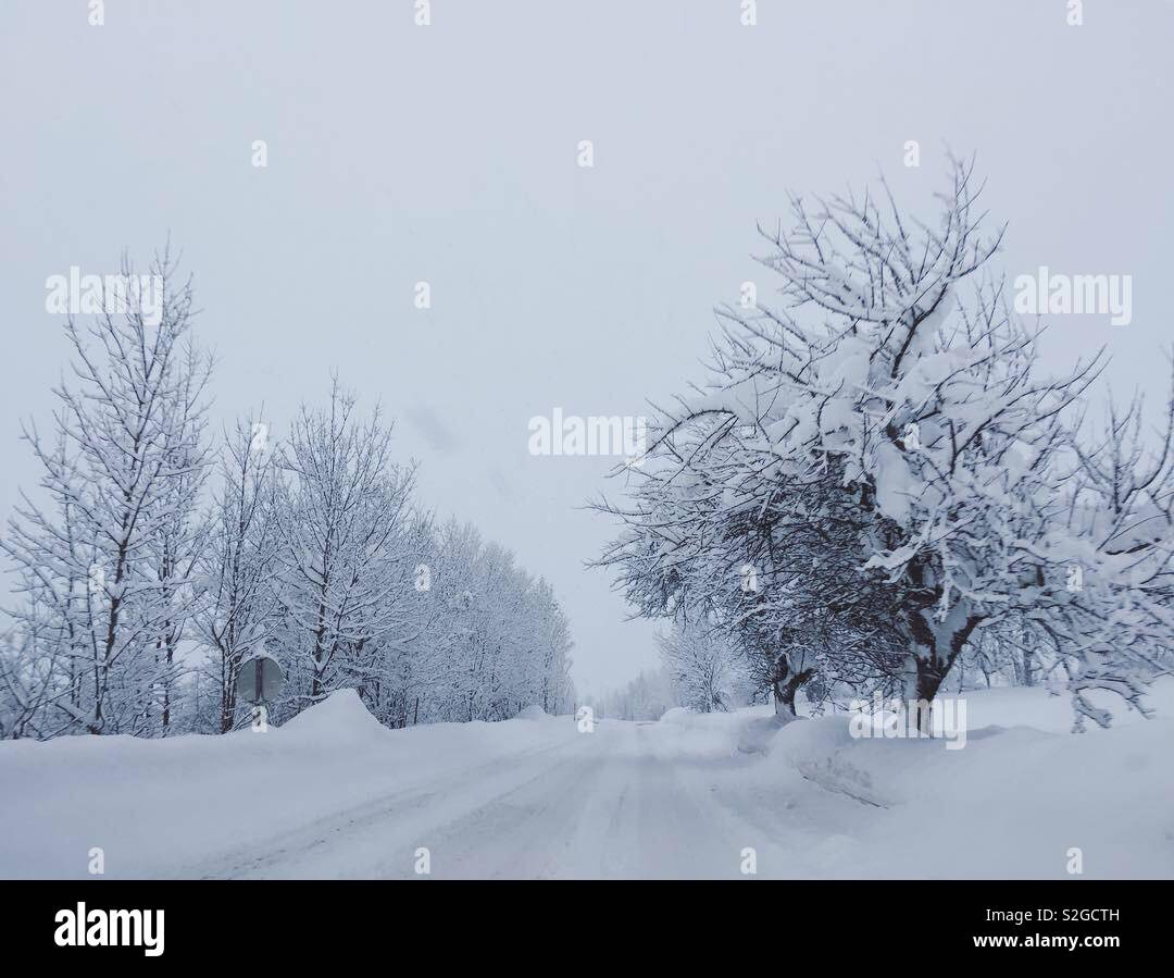 Driving on a quiet snowy winter road covered in deep snow. - Smartphone Captured Stock Image