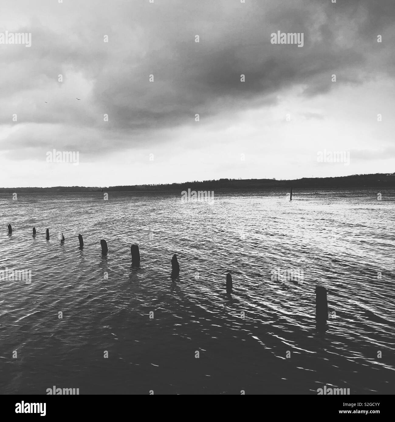 View across the River Clyde from Dumbarton. Scotland. UK. - Smartphone Captured Stock Image