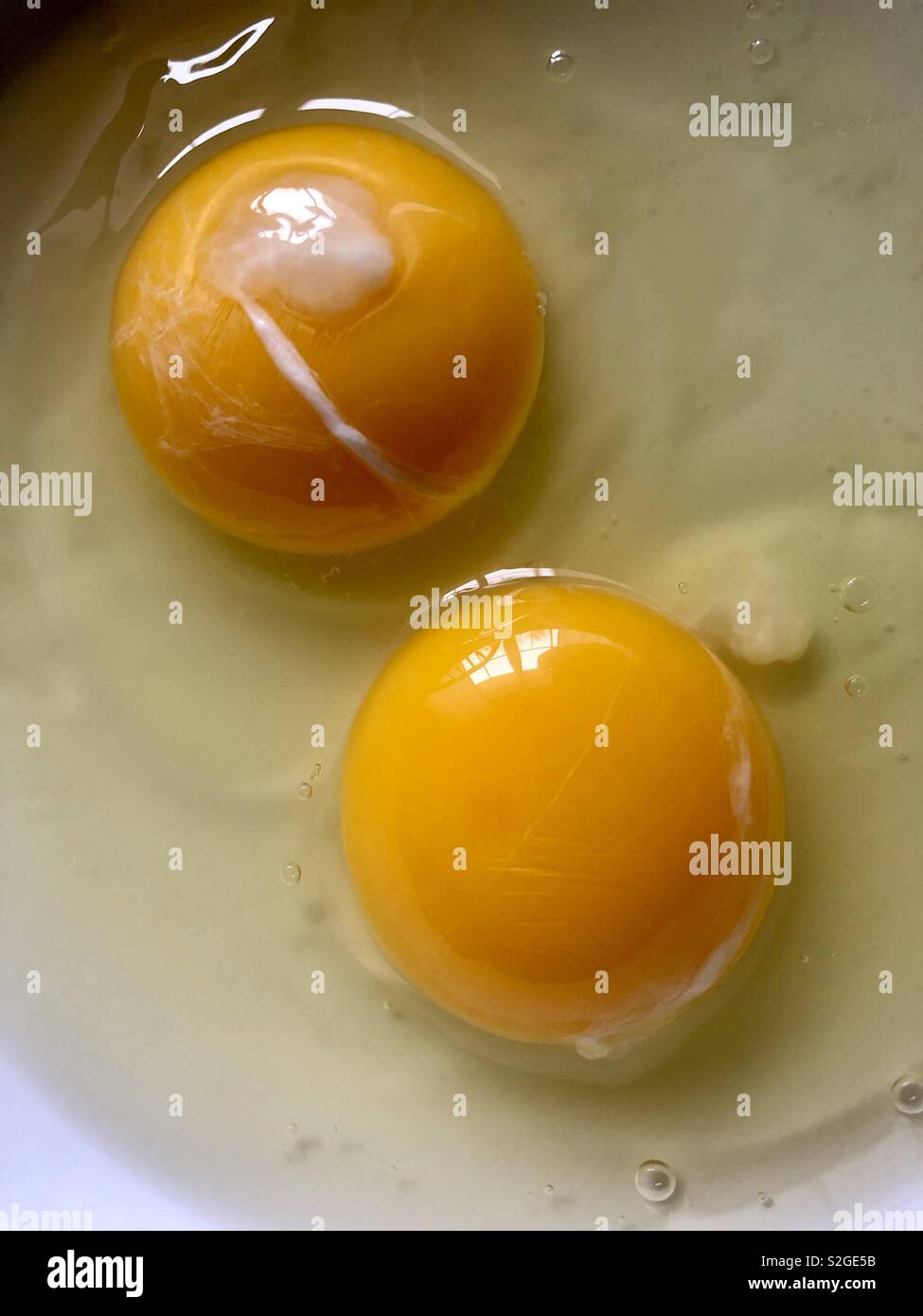 Pair of egg yolks Stock Photo