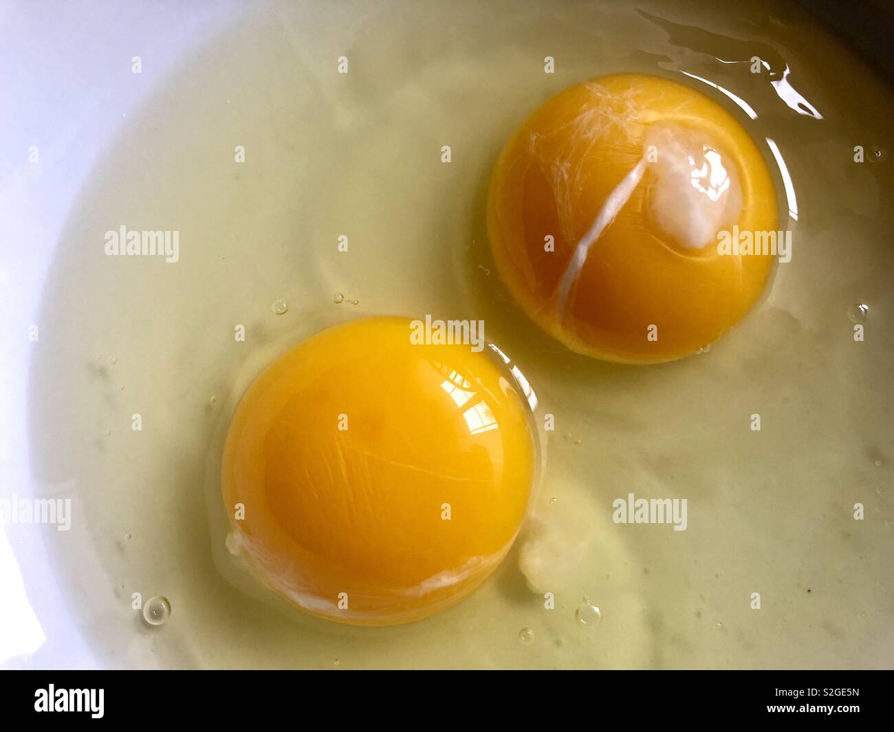 Two egg yolks in a bowl - Smartphone Captured Stock Image