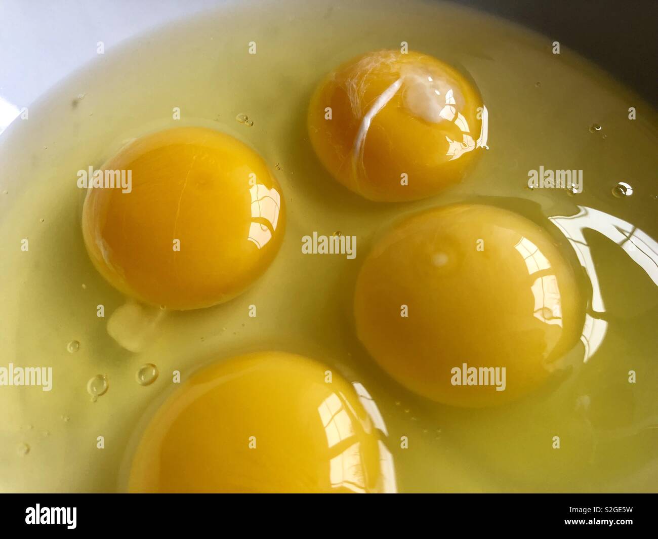 Four egg yolks in a white bowl - Smartphone Captured Stock Image