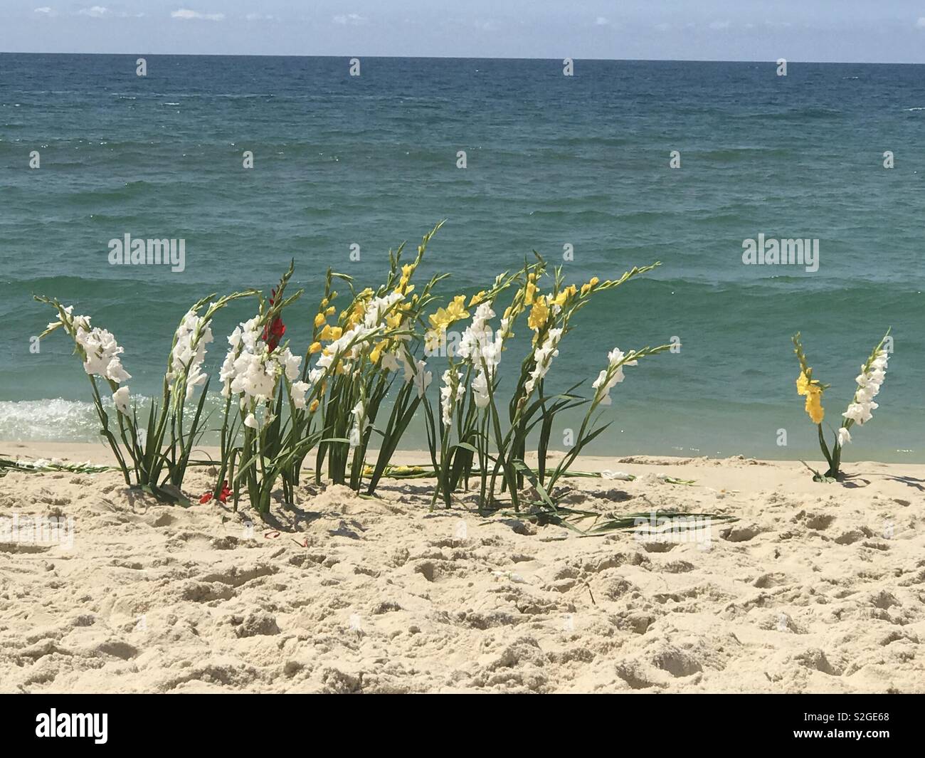 Flowers and Beach , Réveillon Brazil - South América - 2019 Stock Photo