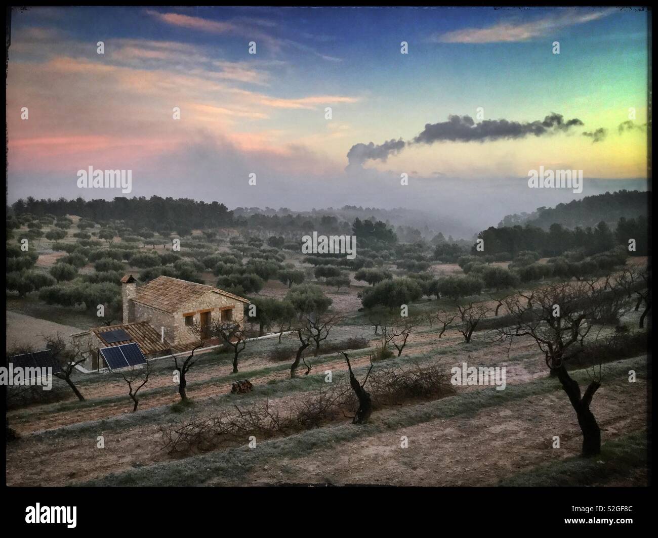 Misty horizon at dawn on the almond terraces, Catalonia, Spain. - Smartphone Captured Stock Image