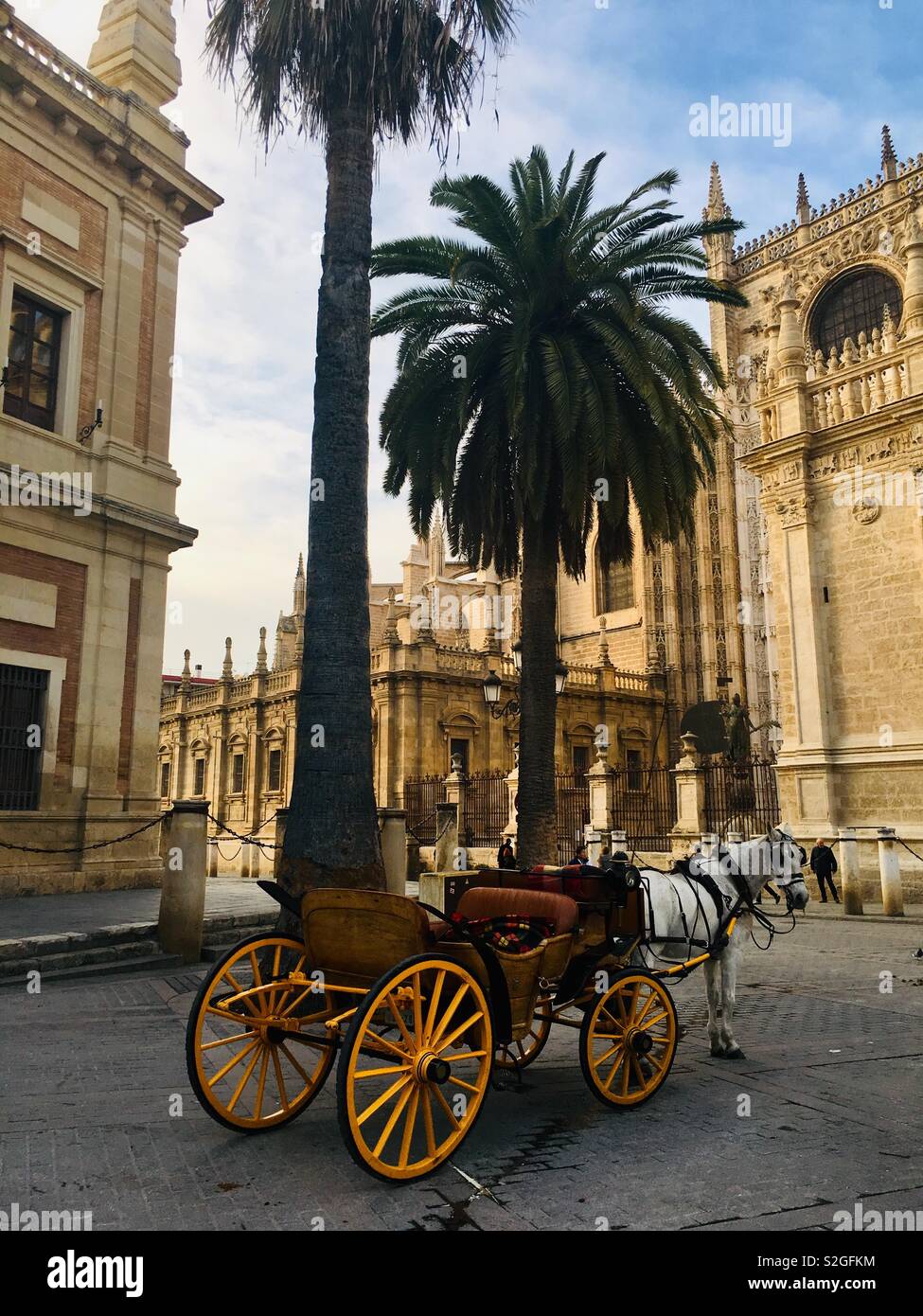 Sevilla cathedral & horse and carriage - Smartphone Captured Stock Image