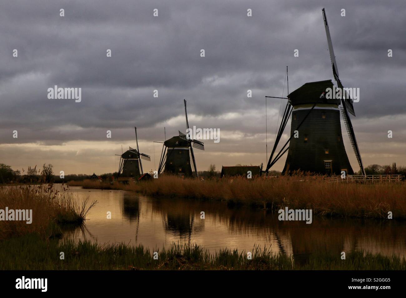 Three typical windmills at sunrise alongside a traditional Dutch polder, or pond, used for drainage and irrigation. - Smartphone Captured Stock Image