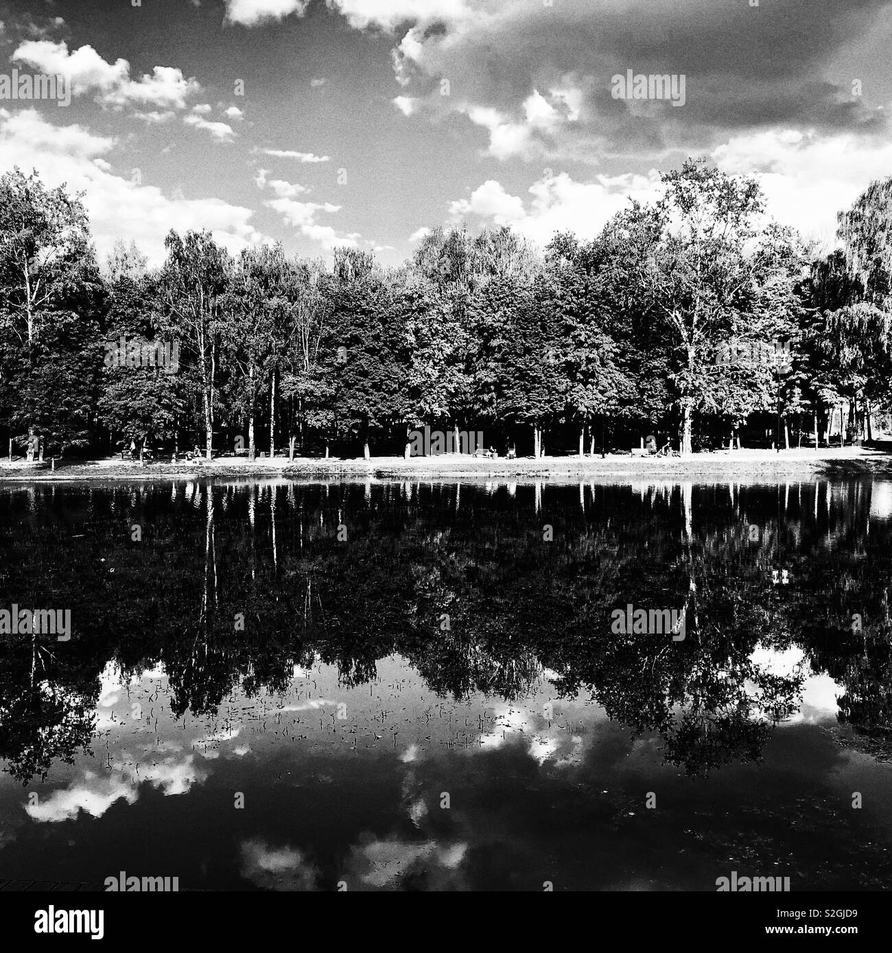 Summer reflection in monochrome - Smartphone Captured Stock Image